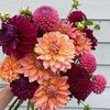 linneybinney75